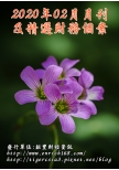 2020年02月月刊及精選財務個案(預購)