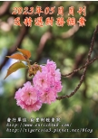 2023年05月月刊及精選財務個案(預購)